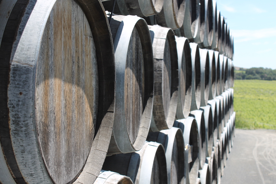 scribe winery barrels