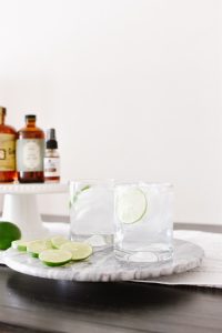 gin-and-tonic-recipe