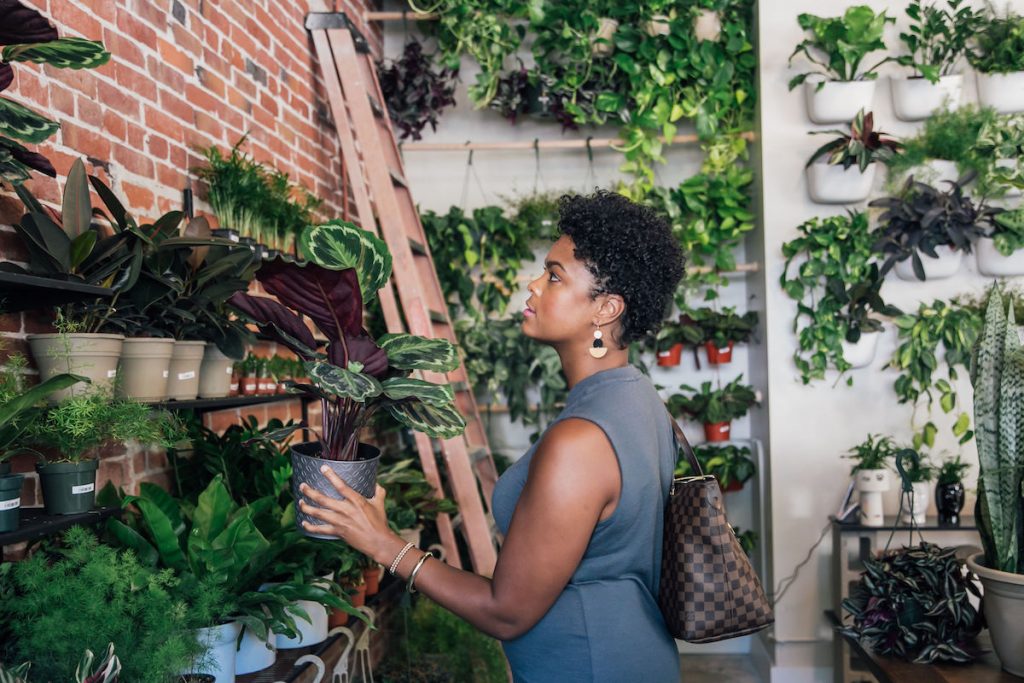 Propagate Plants + Gatherings Propagate Sacramento The