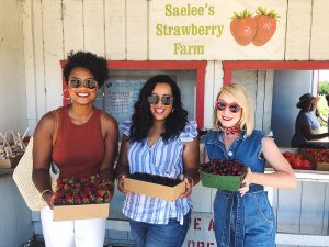 Saelee's Strawberry Farm - Yolo County